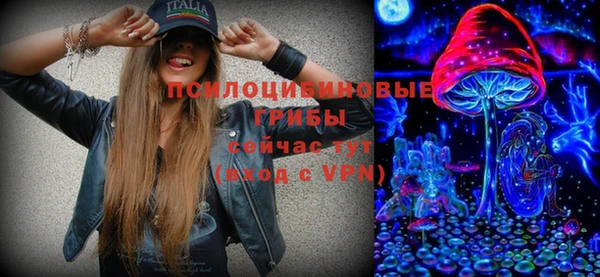 дживик Абинск