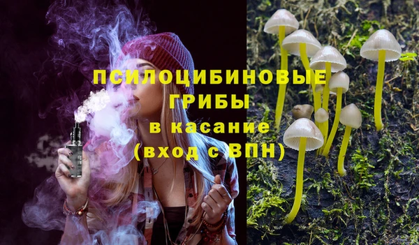 марки lsd Абаза