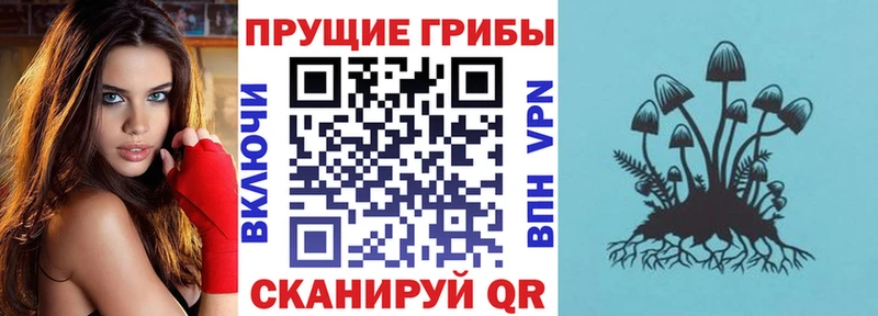 Галлюциногенные грибы прущие грибы Чулым